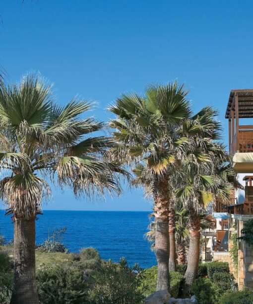 Προσφορά Marine Palace & Aqua Park